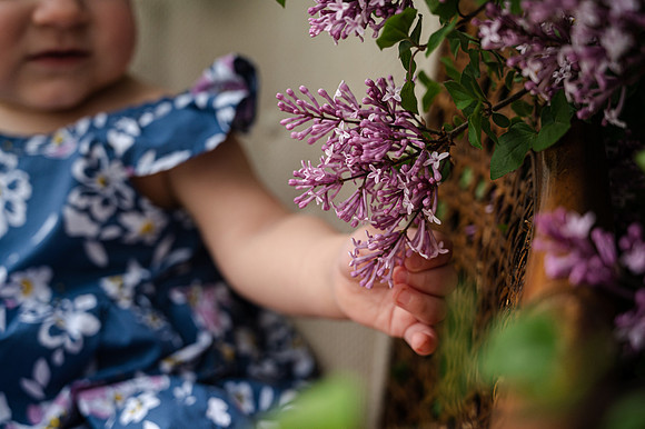 DSC_4261