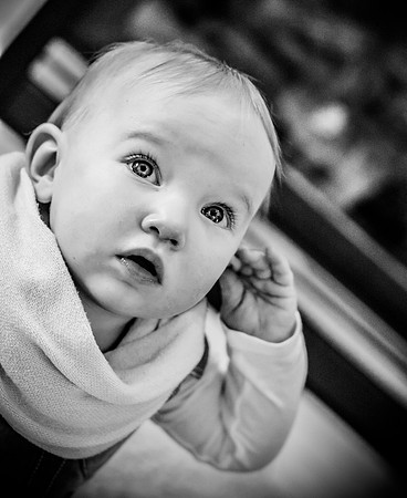 DSC_1264_1