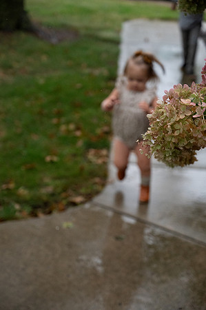 DSC_0337