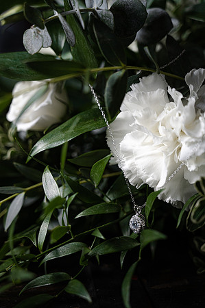DSC_0807